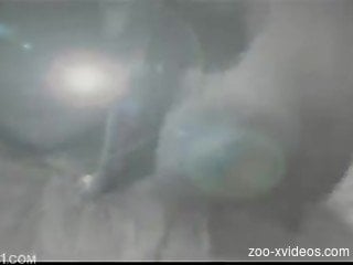 Webcam amateur video with milf enduring dog porn