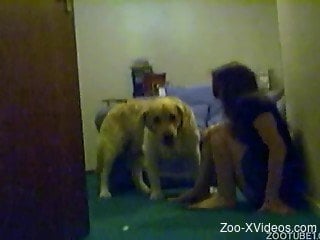 Bored doggy is playing with a filthy-minded zoophile