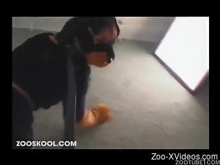 Woman enjoys her trusty dog's cock in her pussy