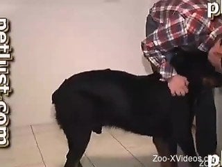 Dirty black doggy fucks a horny male in doggy style pose