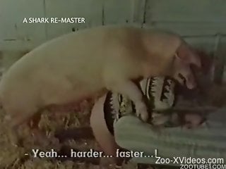 Vintage animality XXX with a giant pig and sexy stallion