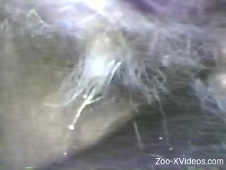Closeup animal porn scenes in outdoor scenery