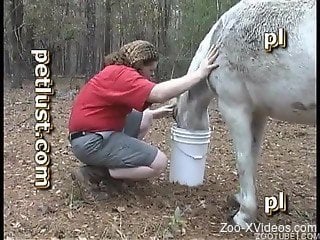 White pony with big round ass looks so sweet for bestiality XXX