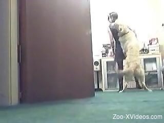 furry dog sticks cock in woman's tight ass