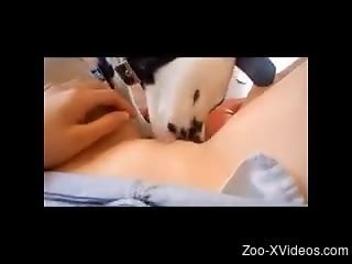 Dog licks woman's pussy when she's masturbating