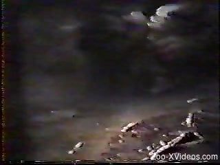 Vintage video of a zoophile woman having sex