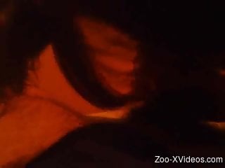 Close up video of a zoophile having some kinky fun