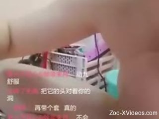 Asian girl is having fun with a a small green animal