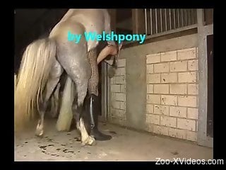 Slutty crossdresser getting his asshole fucked by a horse
