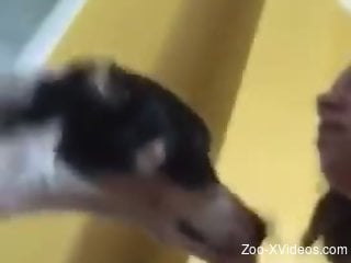 Young beauty gets her nipples licked by a horny dog