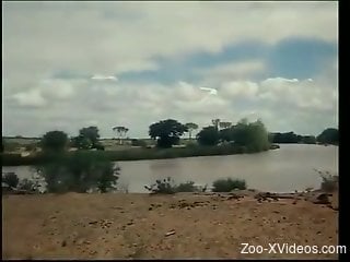 Wild nature fuck for the hot woman and her new partner