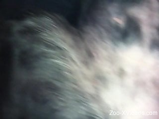 Dude power-fucking his animal in a kinky POV video