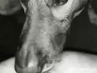 Gay dudes in a threesome with a really kinky dog