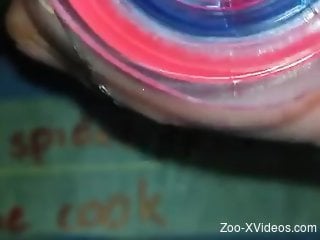 Man shares his lust on cam in scenes of real zoophilia