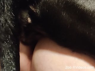 Man endures whole dog dick in the butt hole