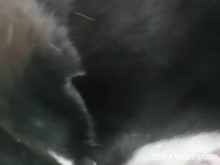 Hot fucking movie with a rather relentless zoophile