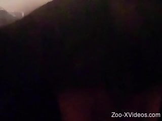Midnight zoophilia for a nude woman with dirty desires