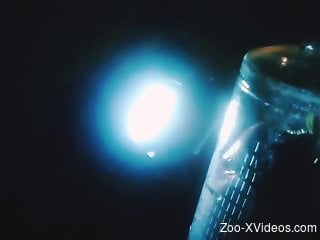 Man inserts dick in jar full of worms