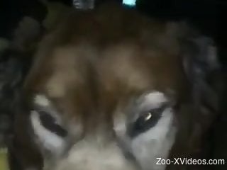 Sexy animal has to deepthroat the guy's cock in POV