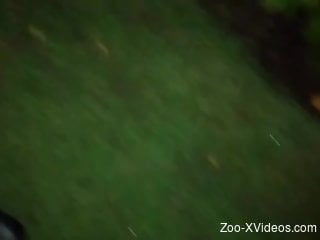 Guy generously lets a snail hide in his foreskin
