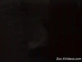 Old timey porno movie with hot zoophile riding