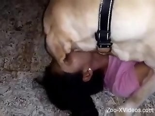 Energized brunette shares real dog perversions on the floor