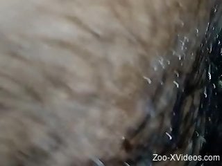 Messy fucking movie with impressive zoophilic action