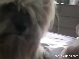 Horny animal casually licking this man's penis
