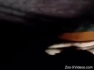 Closeup zoophilia with somewhat hectic action