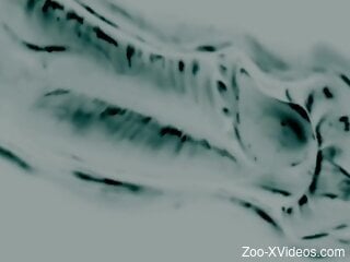 Informative and largely educational zoo porn movie