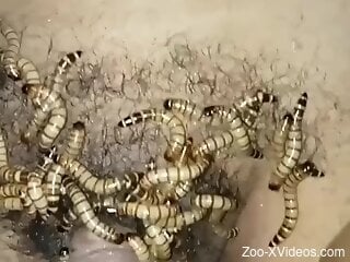 Solo man gets excited feeling worms on his dick