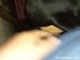 Hot guy is going to fuck the animal's tight  hole