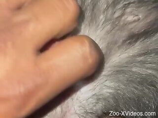 Dude is going to finger the beast's hot pussy