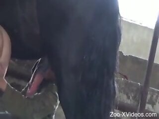 BIg boobs brunette pounded from behind in the barn