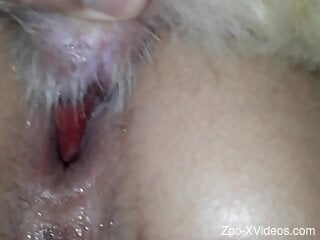 Insolent woman creampied by the dog after great zoophilia sex