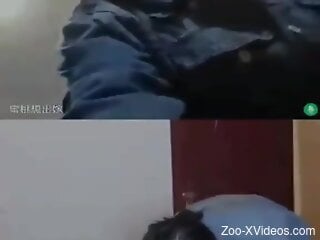 Camera films hot bestiality sex session indoors