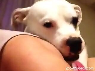 White doggie is in love with hot zoo sex at home