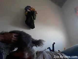 Clothed amateur woman sucks the dog's penis in slutty scenes