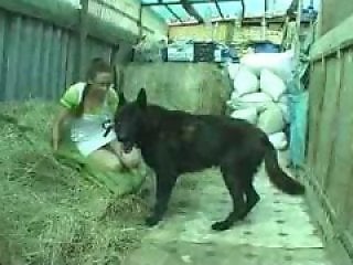 Zoophilia porn and animal sex