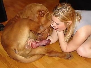 Animal porn and zoo sex