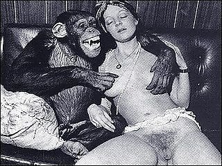 Animal porn and zoo sex