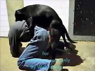 Zoophilia porn and animal sex