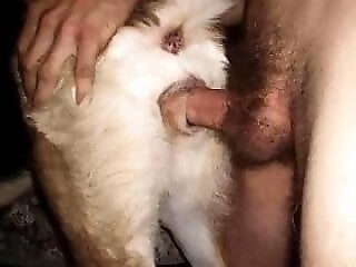 Animal Sex Blue